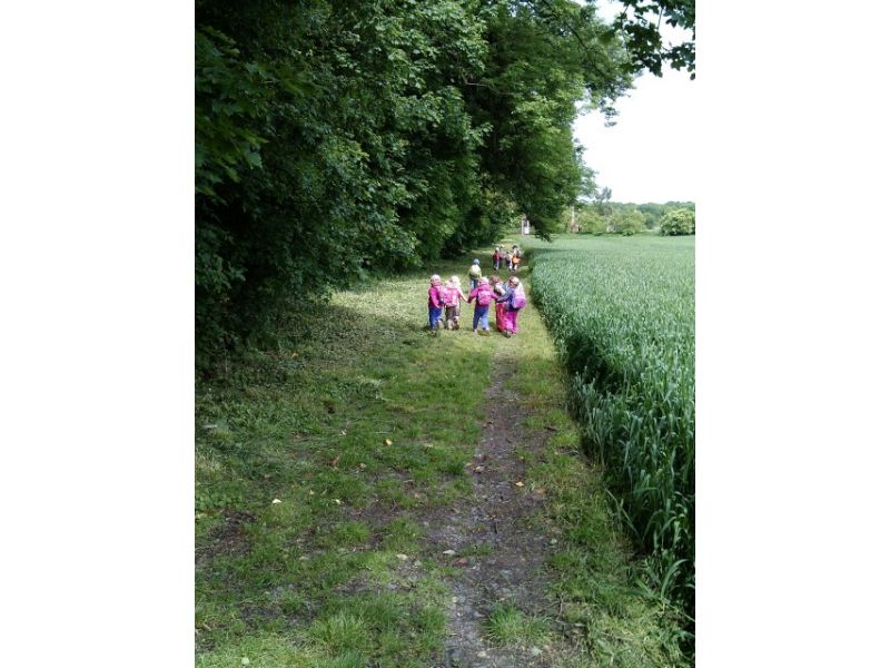 Naše lesní školka