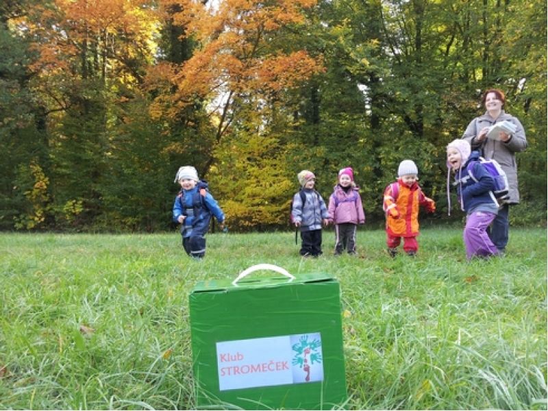 Naše lesní školka
