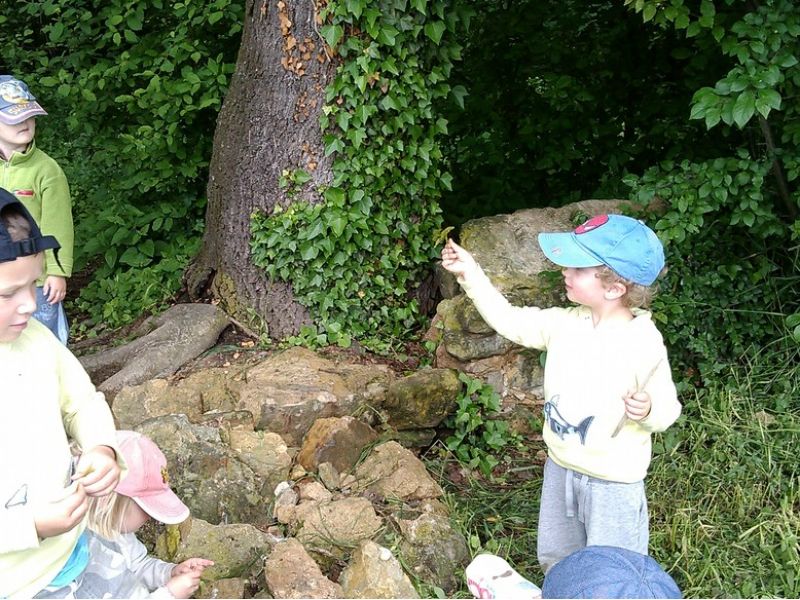 Naše lesní školka