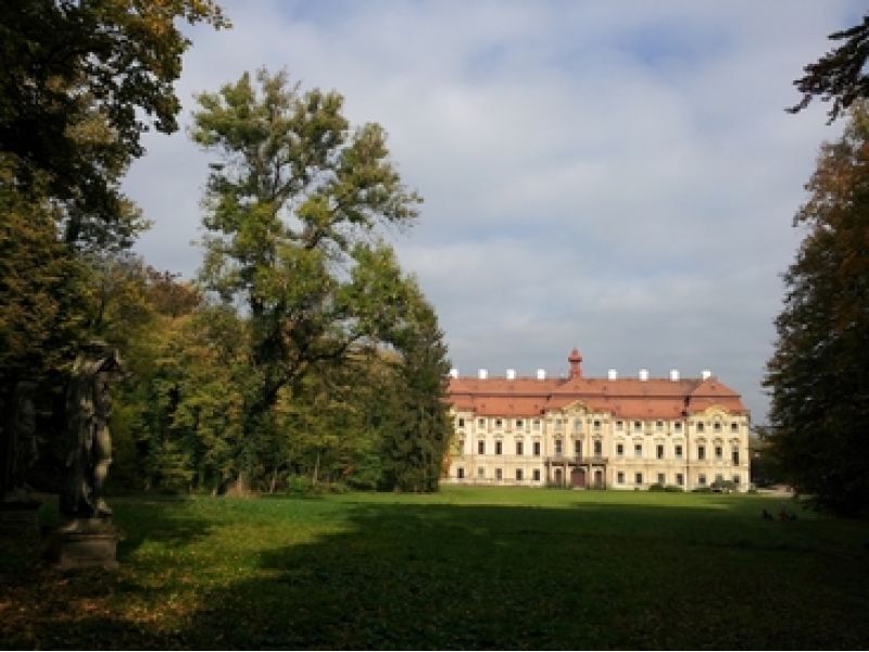 Naše lesní školka