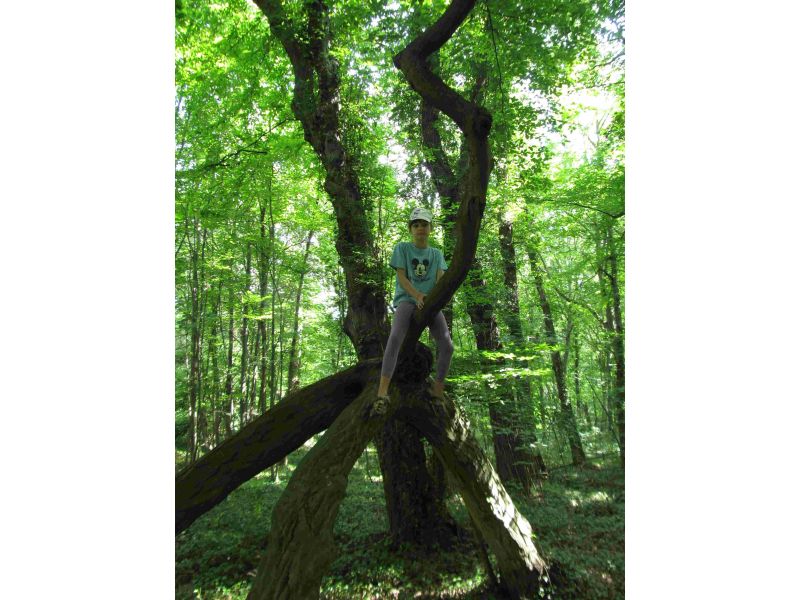 Příměstský tábor